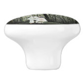 アンリルーソーカーニバル夕べ セラミックノブ (側面)