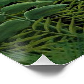 アンリルーソー – エキゾチックな森の中の女性歩く ポスター (コーナー)