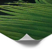 アンリルーソー – エキゾチックな風景 ポスター (角)