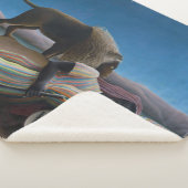 アンリルーソー – ザスリーピングジプシー シェルパブランケット (3/4)