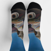 アンリルーソー – ザスリーピングジプシー ソックス (上部)