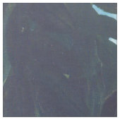 アンリ・ルソー - 夢 / Le Rêve ファブリック (クローズアップ)