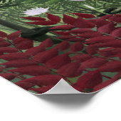 アンリ・ルソー – 熱帯林とサル ポスター (角)