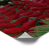 アンリ・ルソー – 熱帯林とサル ポスター (角)