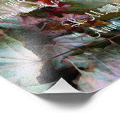 アンンスシャーリーオバー引用文 フォトプリント            (角)