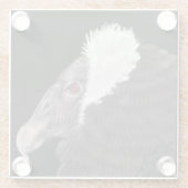 アン図解入りの、写真付きのディーン・コンドル ガラスコースター (裏面)