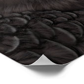 アン図解入りの、写真付きのディーン・コンドル ポスター (角)