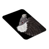 アン図解入りの、写真付きのディーン・コンドル マグネット (右側)