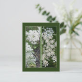 アン女王のレースのしおり ポストカード (スタンド正面)