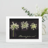 アン女王のレースの招待状 招待状 (スタンド正面)