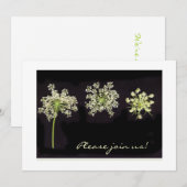 アン女王のレースの招待状 招待状 (正面/裏面)