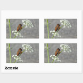 アン女王のレースの花にハミングバード 長方形シール (シート)