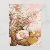 アン・アンダーソン「ツリーの上の赤ちゃん」ヴィンテージ ポストカード (正面)