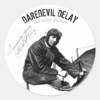 アヴィエーターアクターDAREDEVIL DeLAY -デカールシート ラウンドシール
