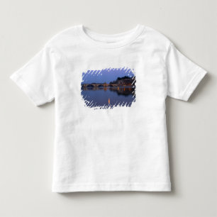 アヴィニョンのポントセントベネゼット橋 トドラーTシャツ