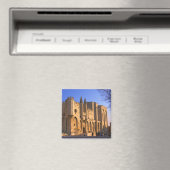 アヴィニョンの教皇の宮殿と人 マグネット (インサイチュ (食洗機))