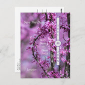 アヴォンデールレッドブドアートザデイト ポストカード (正面/裏面)