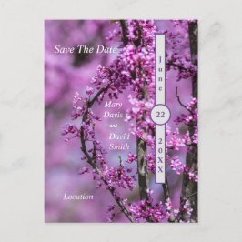 アヴォンデールレッドブドアートザデイト ポストカード