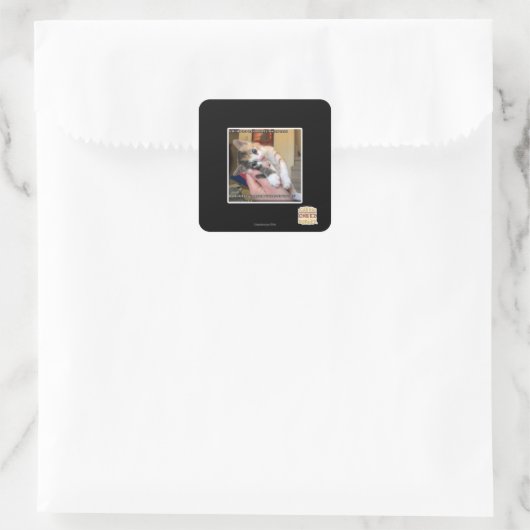 アーウズ スクエアシール (バッグ)