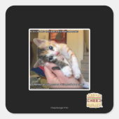 アーウズ スクエアシール (正面)