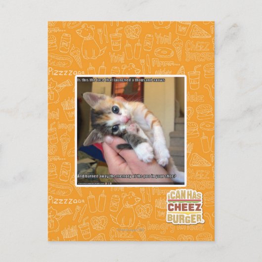 アーウズ ポストカード (正面)