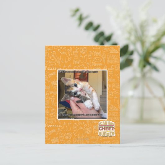 アーウズ ポストカード (スタンド正面)