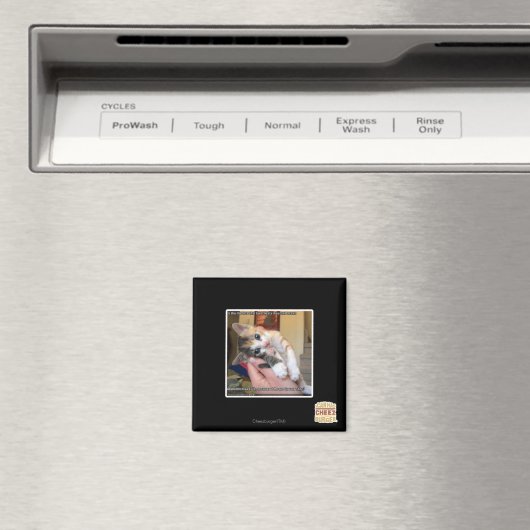 アーウズ マグネット (インサイチュ (食洗機))