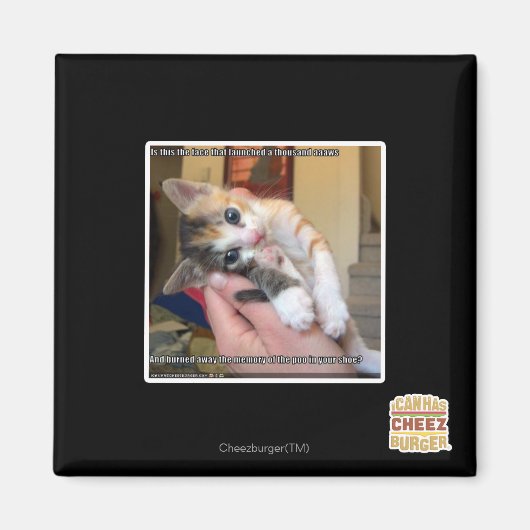 アーウズ マグネット (正面)