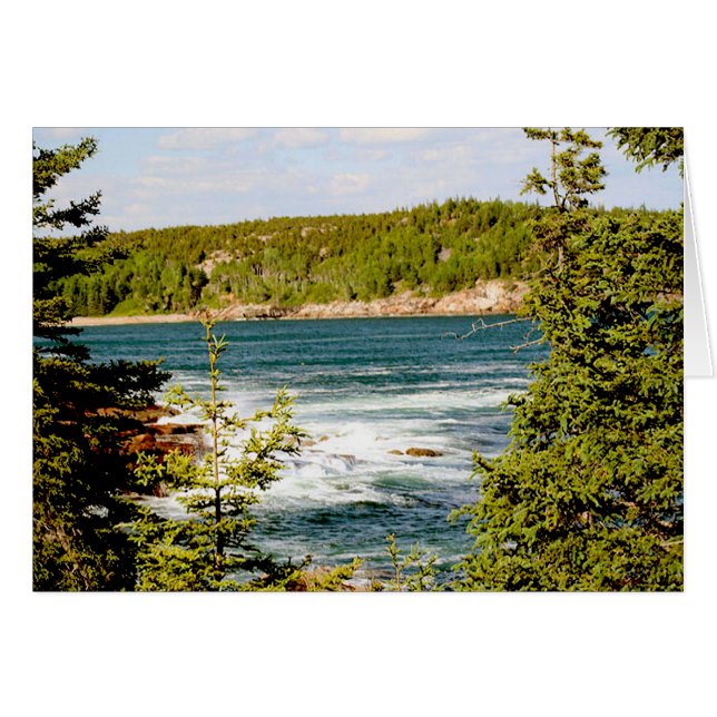 アーカディア国立公園ザツリーズ (正面横)