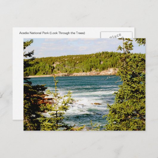 アーカディア国立公園ザツリーズ ポストカード (正面/裏面)