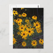 アーカンサス山花黒目サザンハガキ ポストカード (正面/裏面)