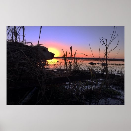 アーカンソーのダックブラインドのポイント ポスター (正面)