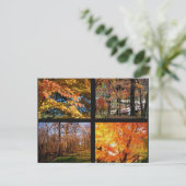 アーカンソーの秋の木々の写真はがき ポストカード (スタンド正面)