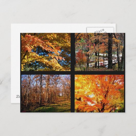 アーカンソーの秋の木々の写真はがき ポストカード (正面/裏面)