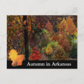 アーカンソーの秋/秋シーズンツリーズ写真 ポストカード (正面)