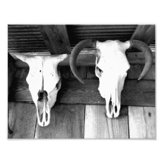 アーカンソーへようこそ フォトプリント           