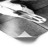 アーカンソーへようこそ フォトプリント            (角)