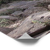 アーカンソー州オデンのオアチタ川 ポスター (角)