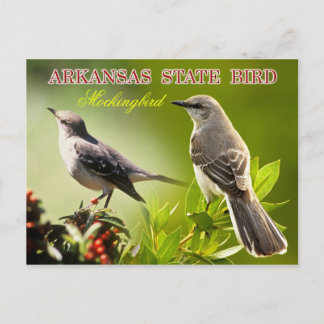 アーカンソー州バード – Mockingbird ポストカード