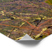 アーカンソー州，フォーク山 ポスター (角)