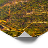 アーカンソー州，フォーク山 ポスター (角)