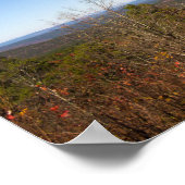 アーカンソー州，フォーク山 ポスター (角)