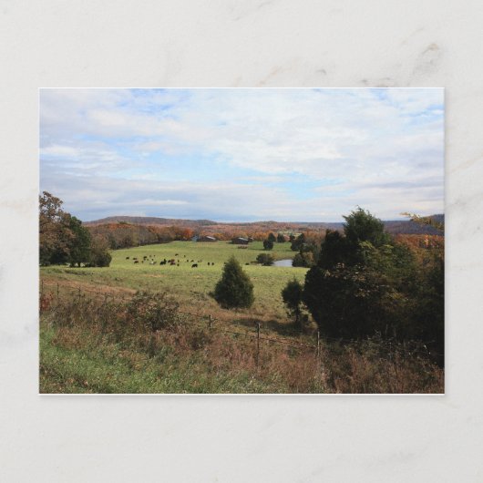 アーカンソー風景葉書 ポストカード (正面)