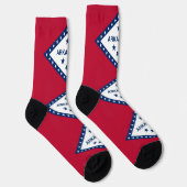 アーカ地球に優しンソー州旗を持つメンズクルーソックス ソックス (右)