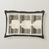 アーキテクチャのオーダー、ヴィンテージ・エンタバチュール アクセントクッション (裏面)