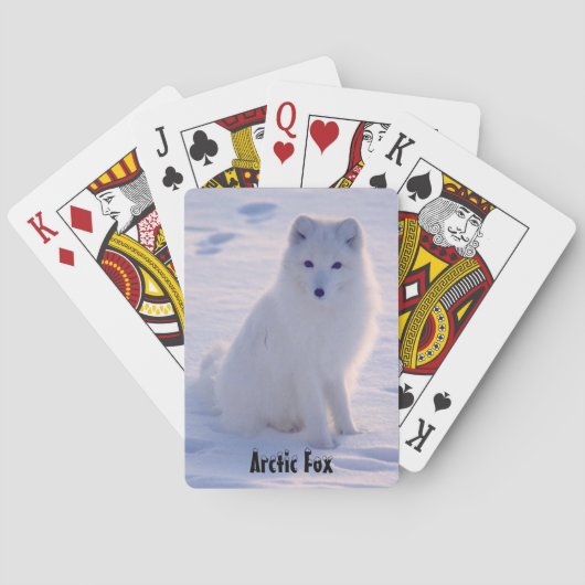 アークティックアラスカンホワイトキツネウィンターポーズ トランプ (裏面)