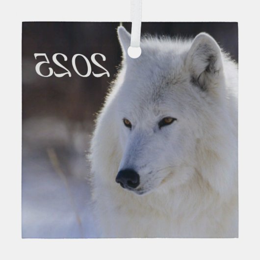 アークティックウルフオーナメント ガラスオーナメント (裏面)