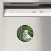 アークティックウルフ磁石 マグネット (インサイチュ (食洗機))