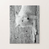 アークティックウルフ – ホワイトウルフ ジグソーパズル (縦)