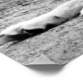 アークティックウルフ – ホワイトウルフ ポスター (角)